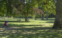 Darmstadts Herrengarten. 